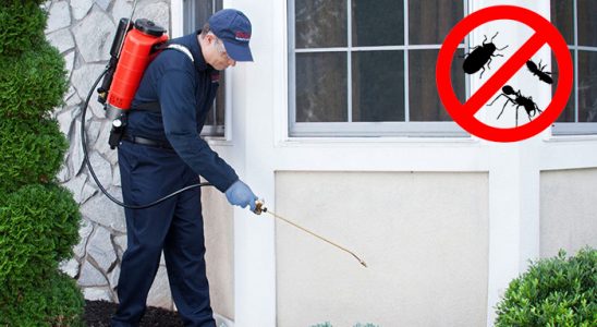 Tekkeköy Kemirgen İlaçlama böcek ilaçlama ve haşere kontrolü — ilaclama-tr.com